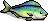 rare_fish.png